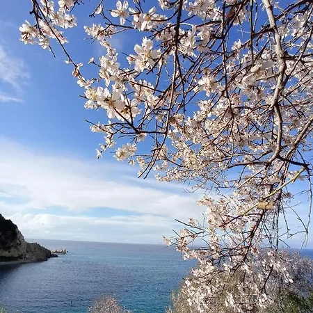 Ostria Άγιος Νικήτας