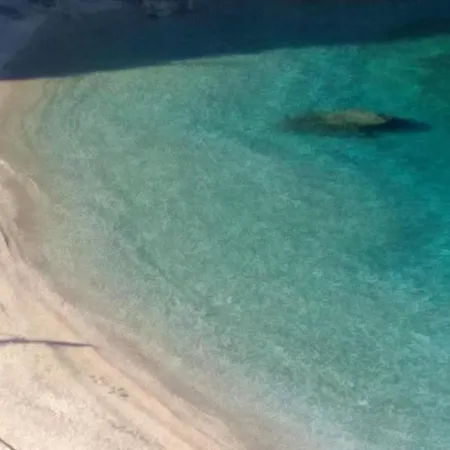 Πανσιόν Ostria