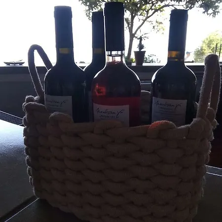 Ostria Πανσιόν